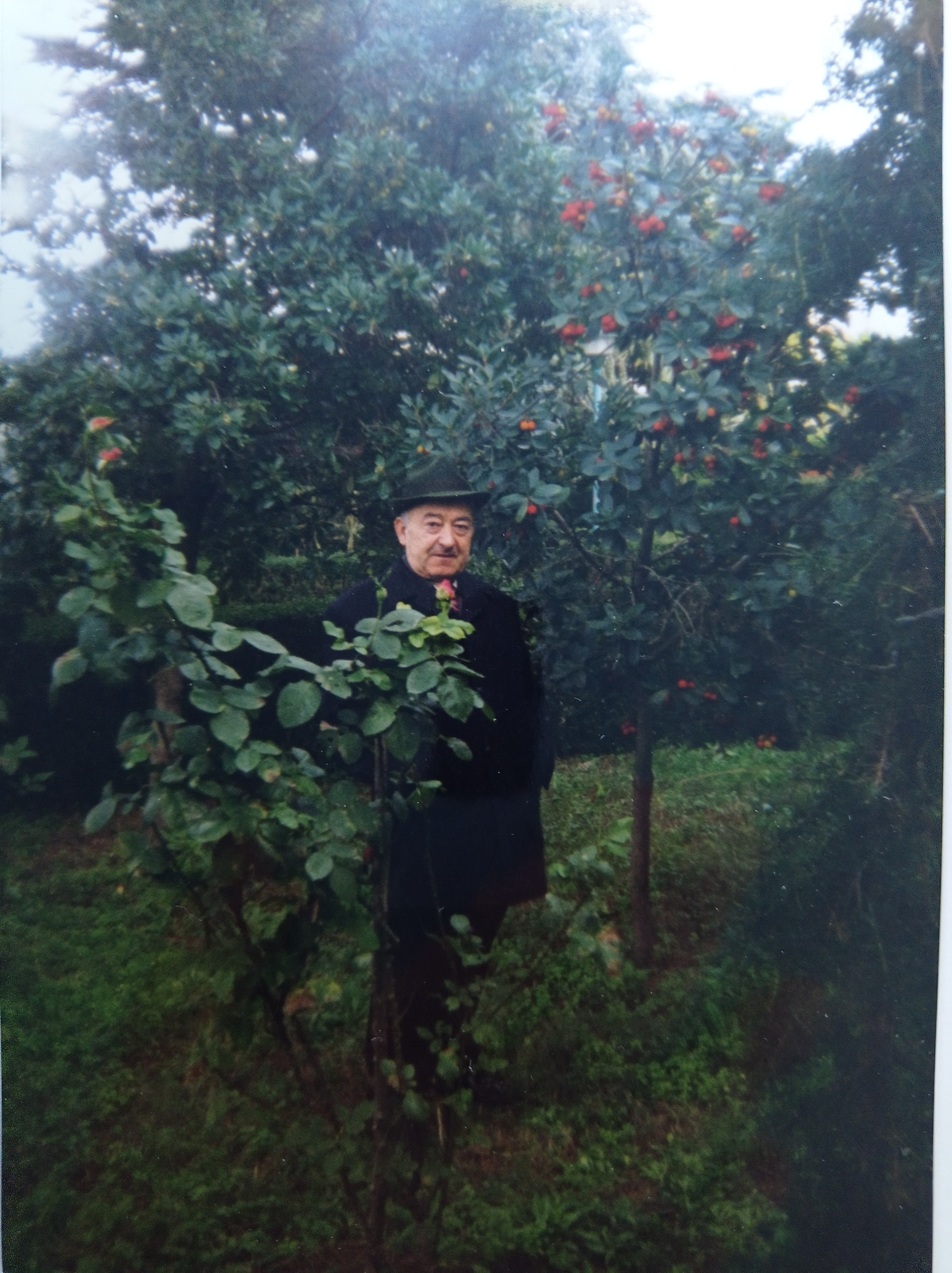 In mezzo al verde 